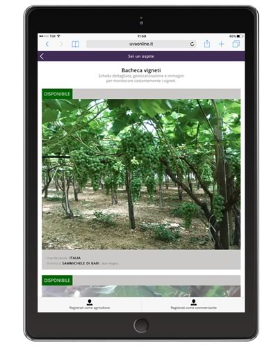 Realizzazione app iOS e Android in Agricoltura